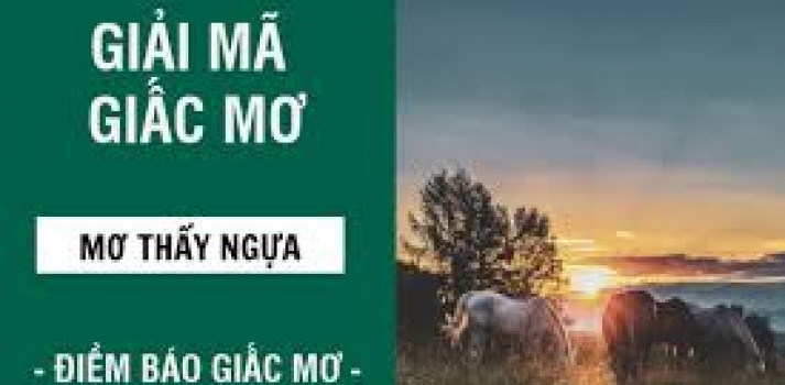 Mơ thấy ngựa đánh con gì? Giải mã giấc mơ thấy ngựa